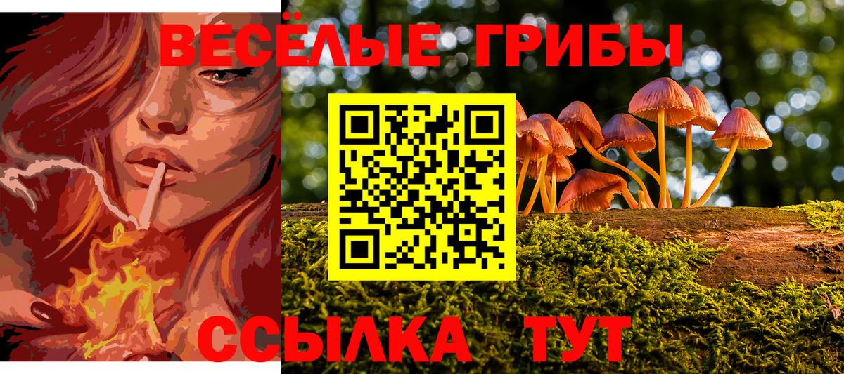 Псилоцибиновые грибы мухоморы Кирово-Чепецк