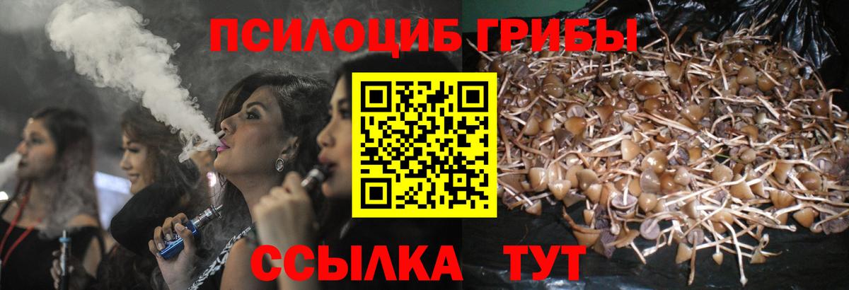 Кирово-Чепецк  как найти закладки  Вход с VPN  Псилоцибиновые грибы мицелий 